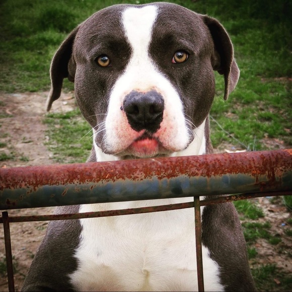 Meet your Posher, Jessica - Picture 1 of 1